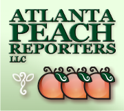 Court Reporting Services by Atlanta Peach Reporters, LLC - logo